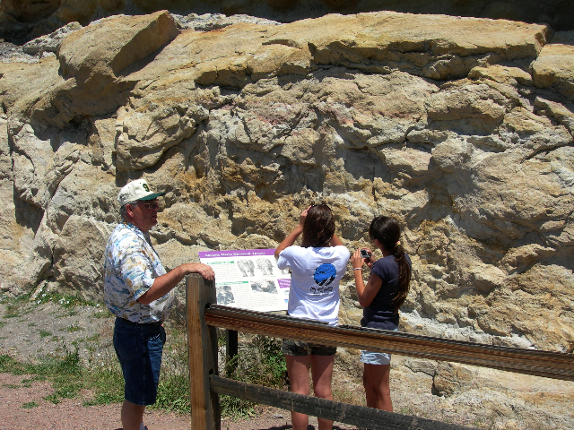 Taking pics of Dinosaur tracks