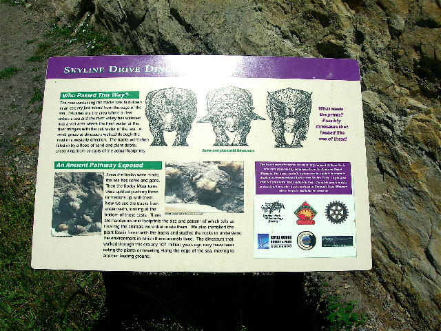 Fossilized footprints