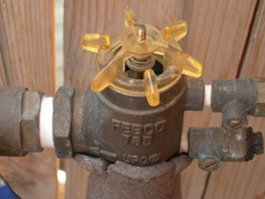 Plastic valve